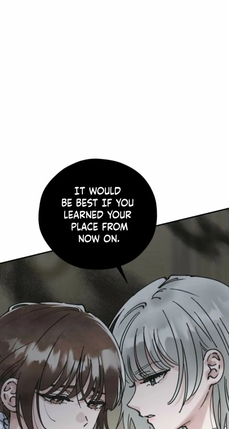 Read The Maid
