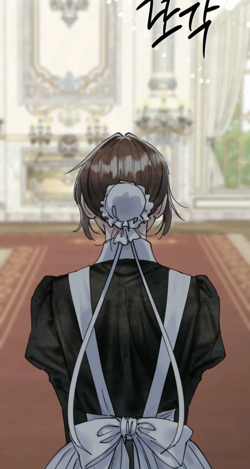 Read The Maid