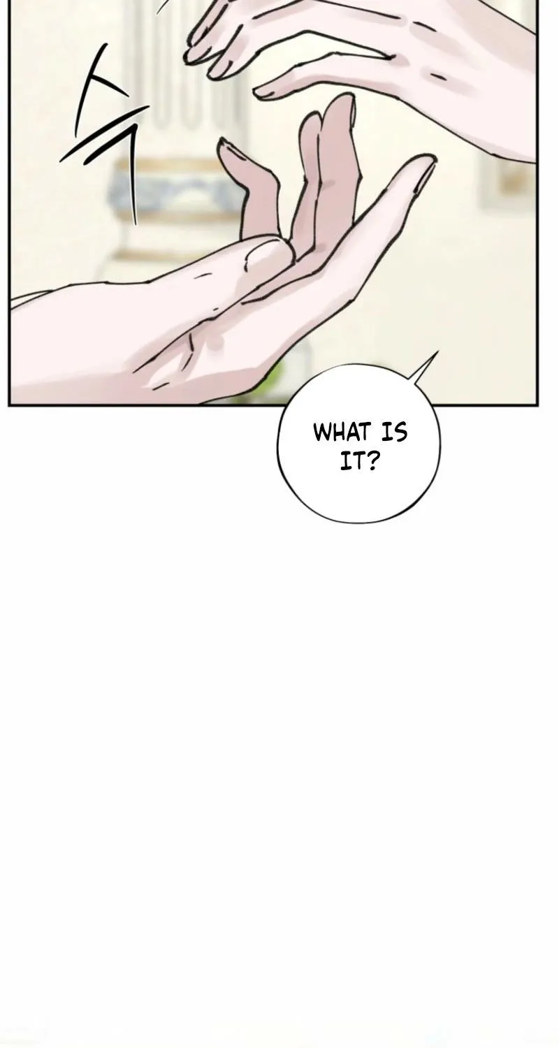Read The Maid