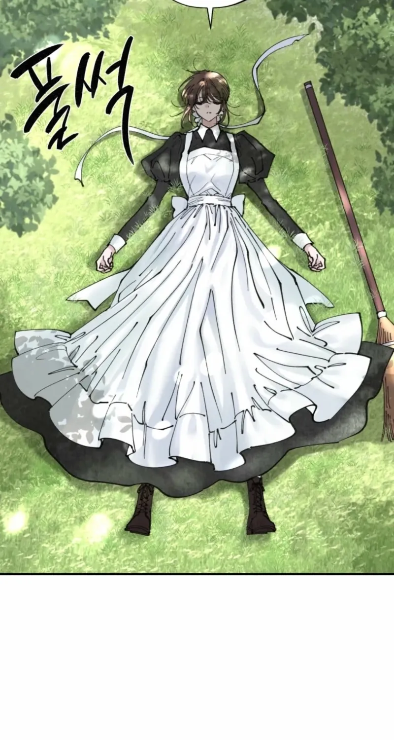 Read The Maid