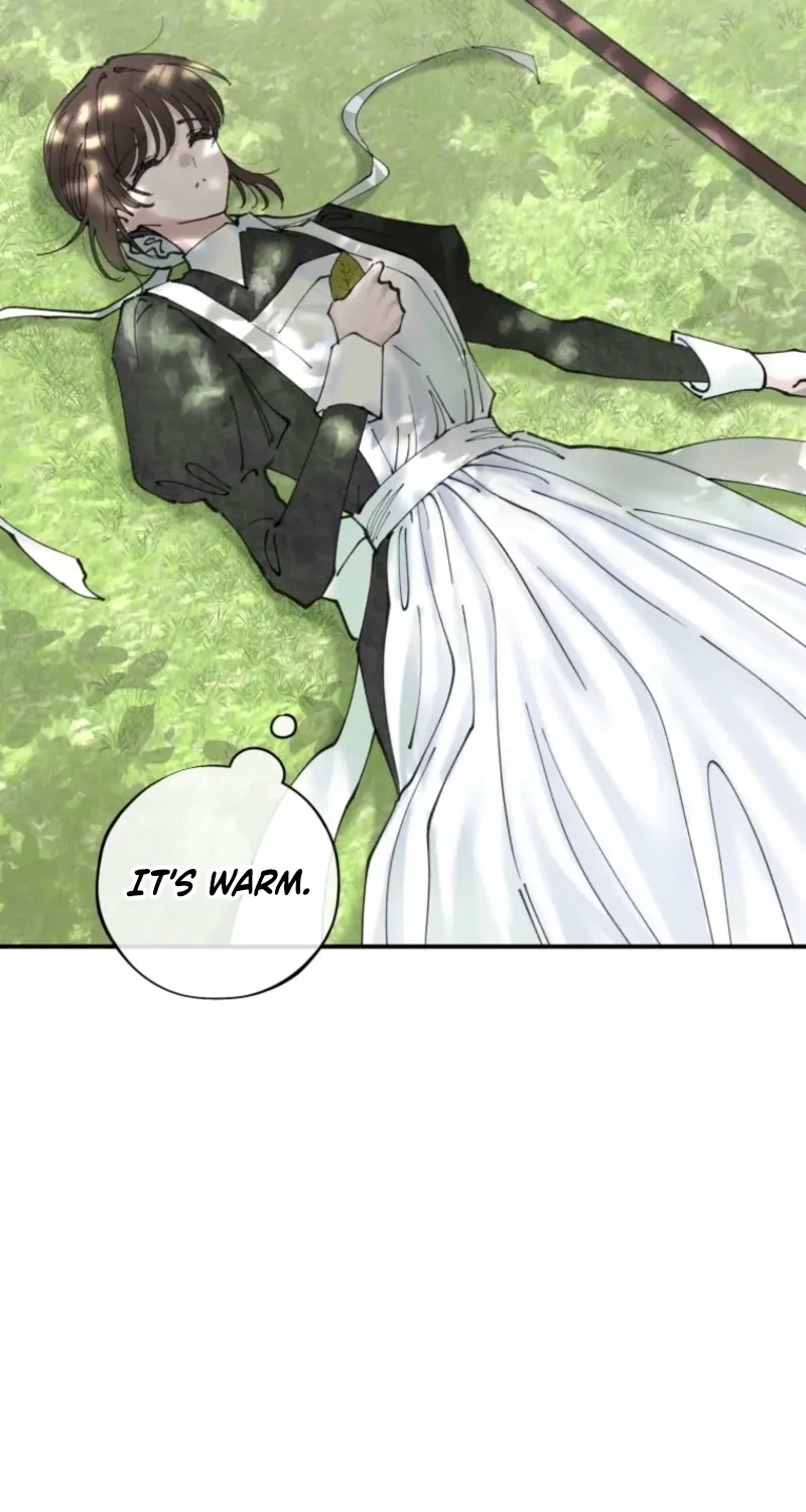 Read The Maid