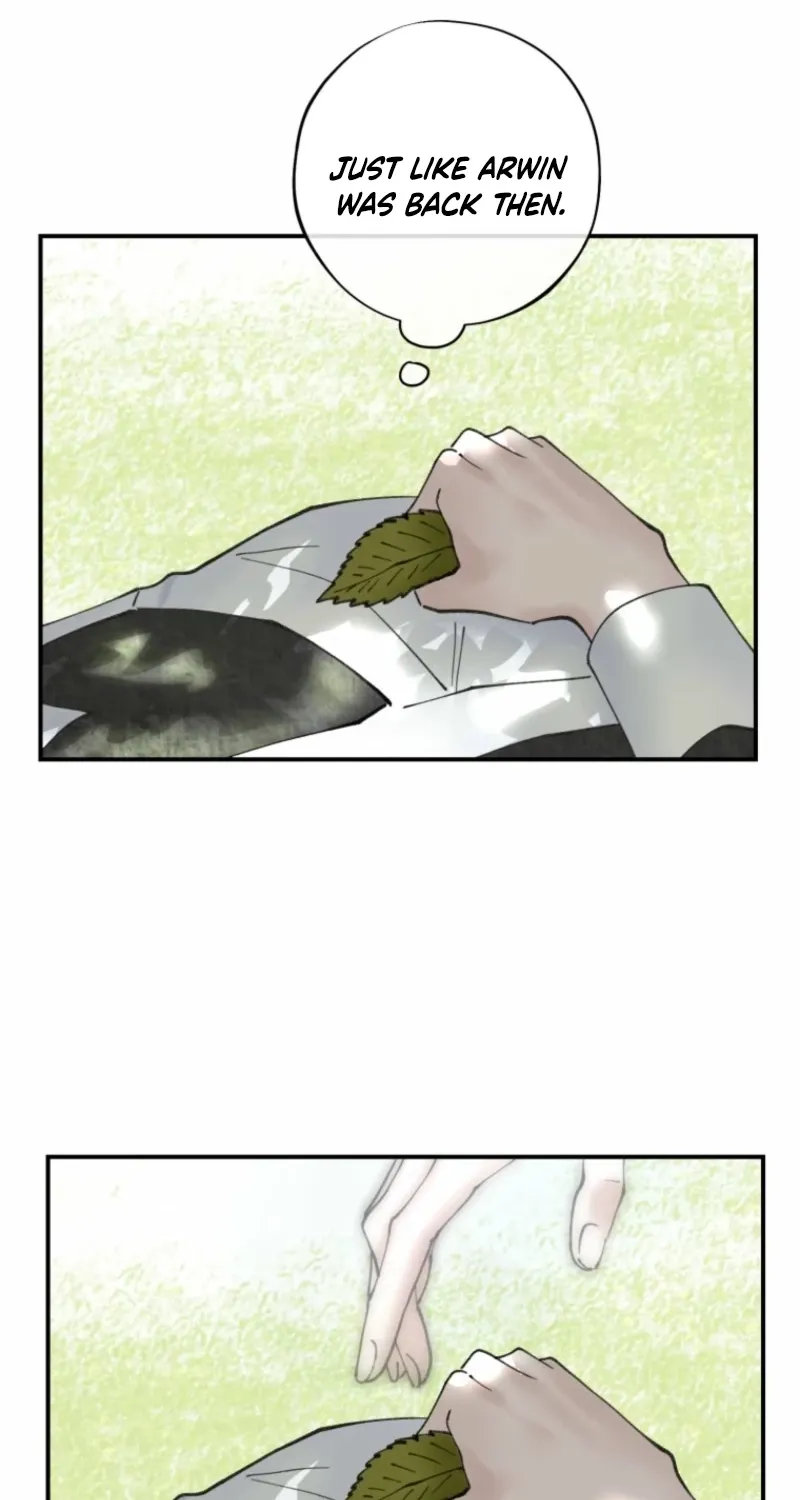 Read The Maid