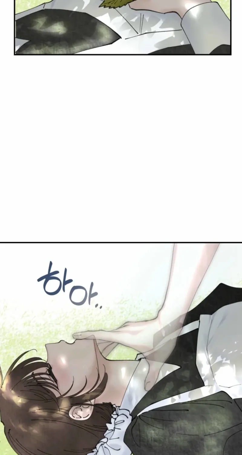 Read The Maid