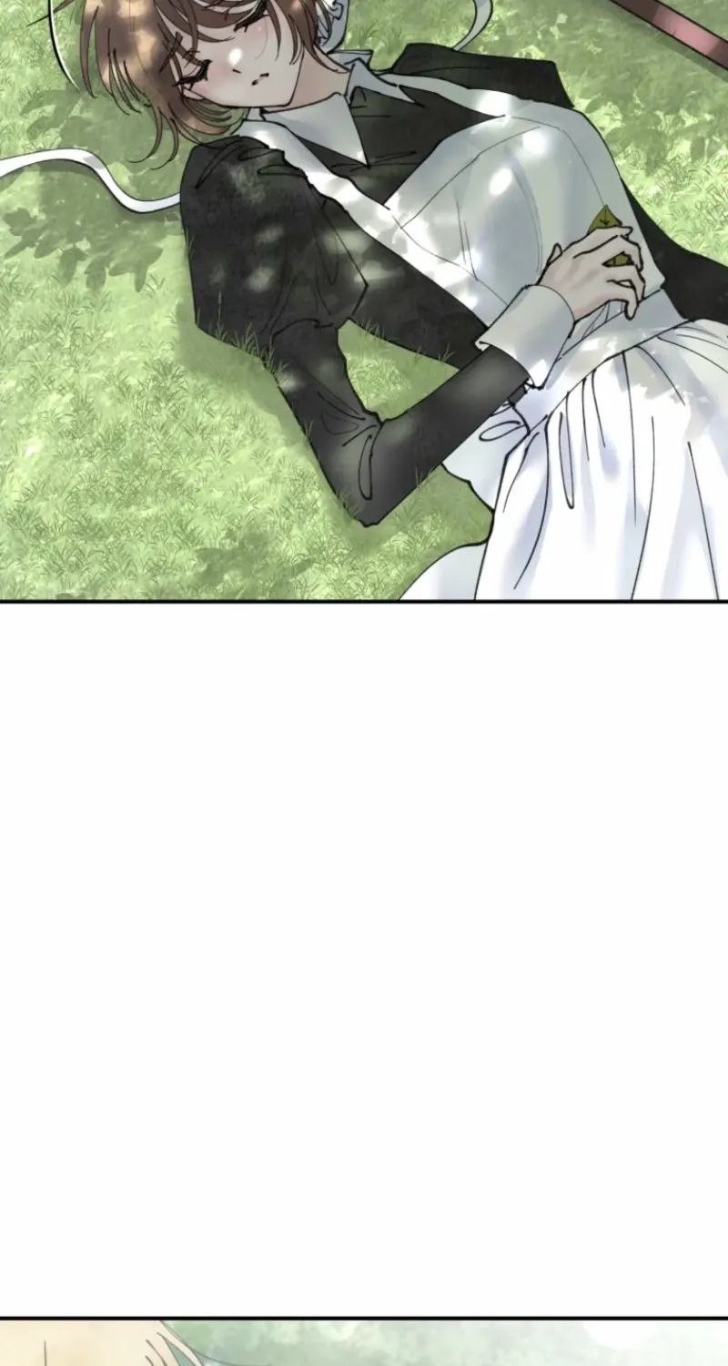 Read The Maid