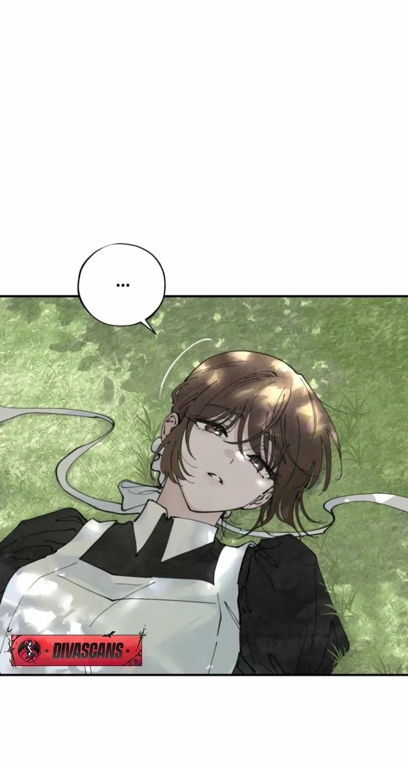 Read The Maid