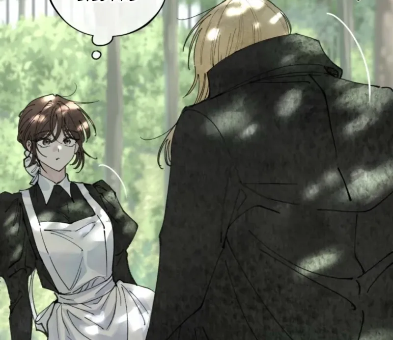 Read The Maid