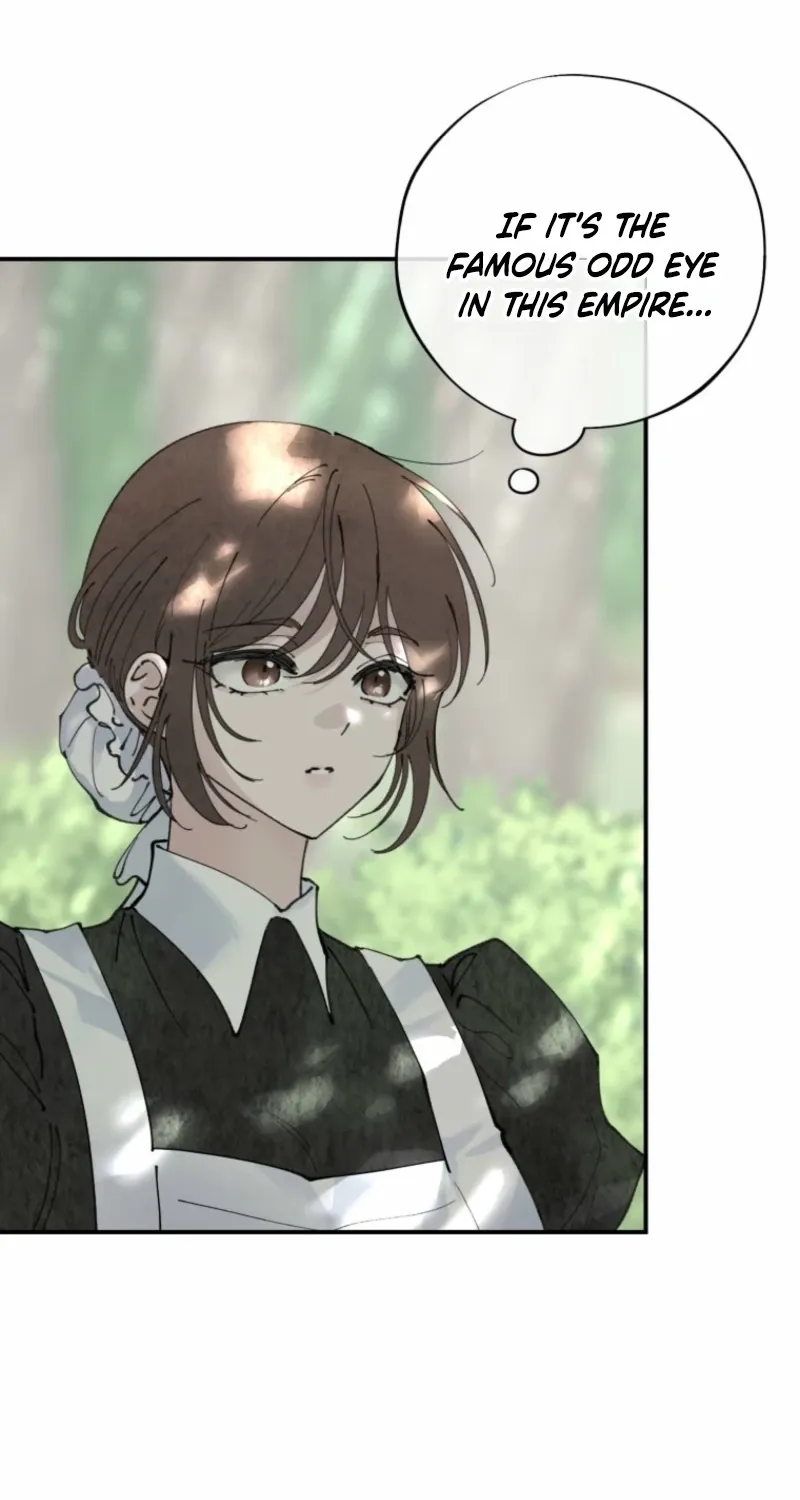 Read The Maid