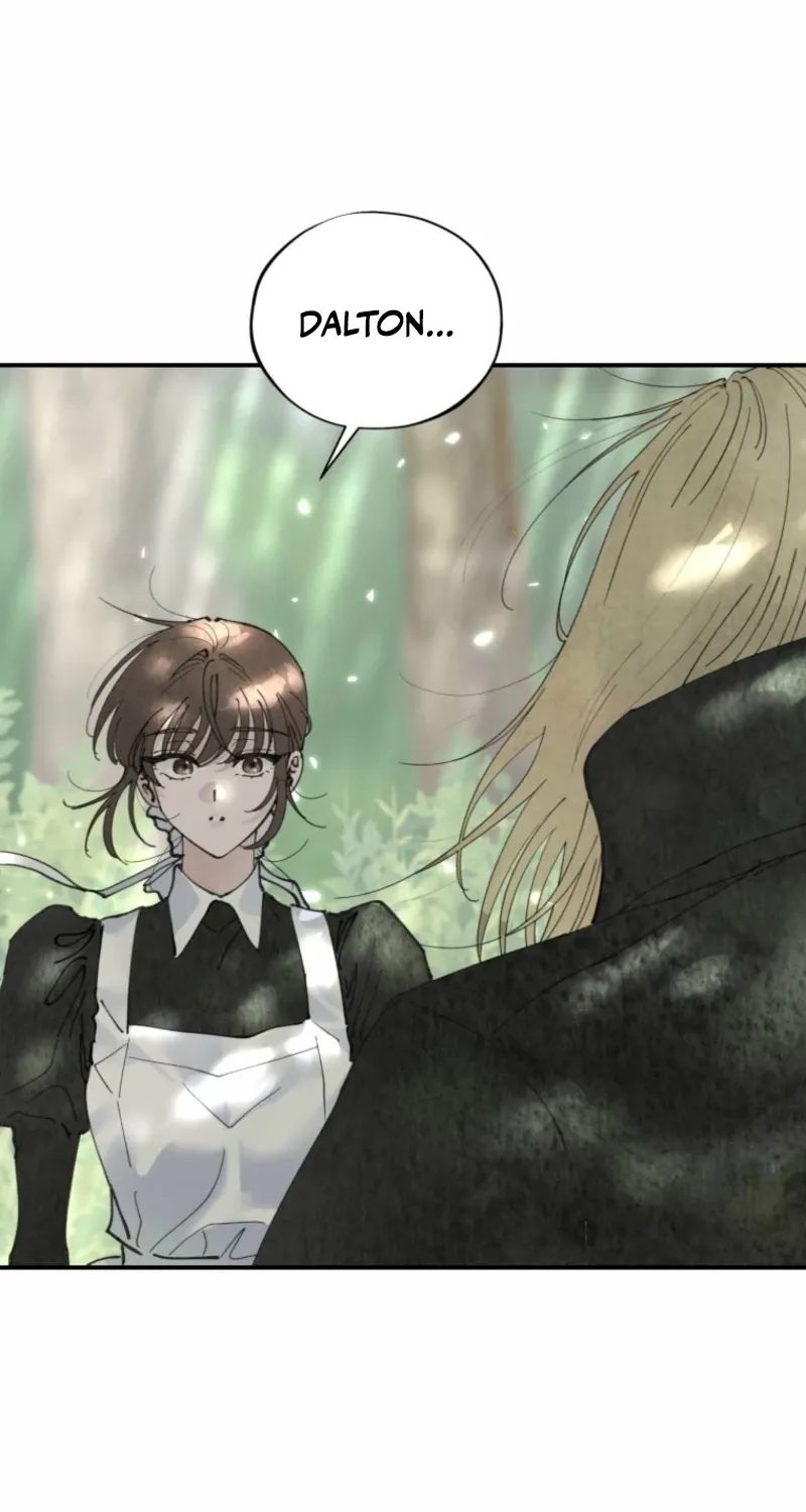 Read The Maid