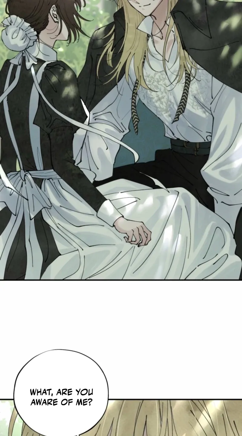 Read The Maid