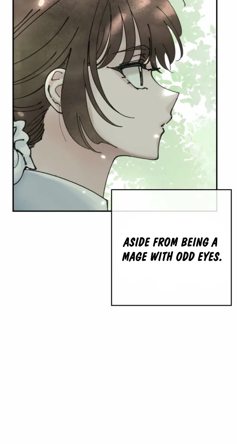 Read The Maid