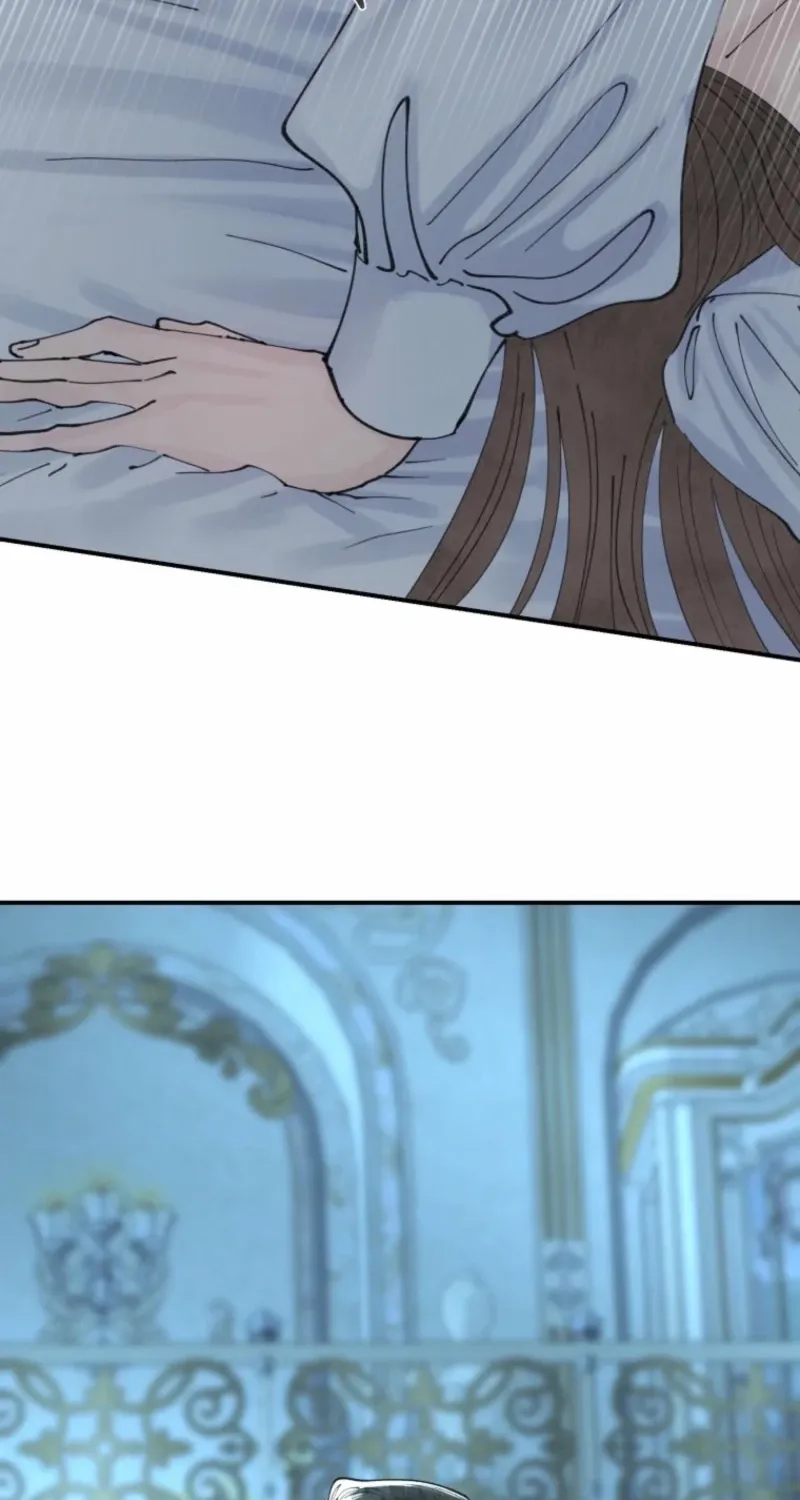 Read The Maid