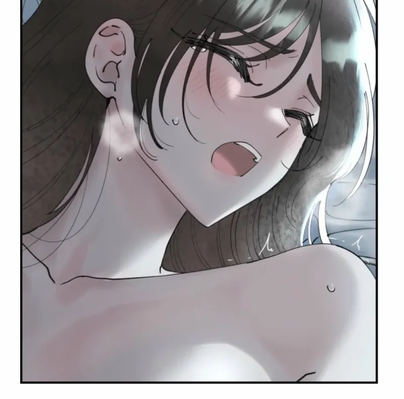 Read The Maid