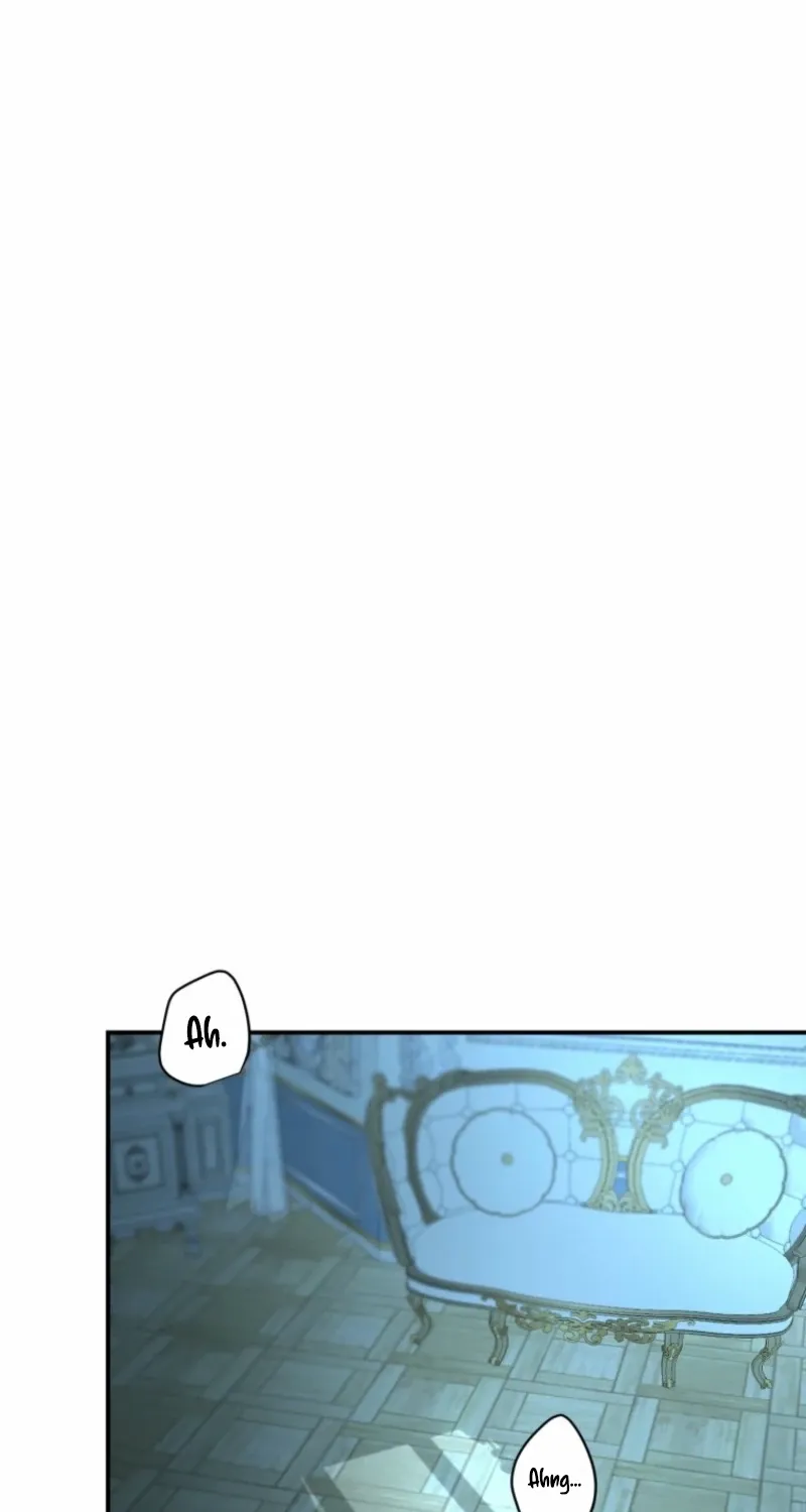 Read The Maid