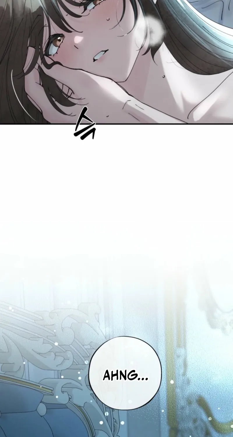 Read The Maid