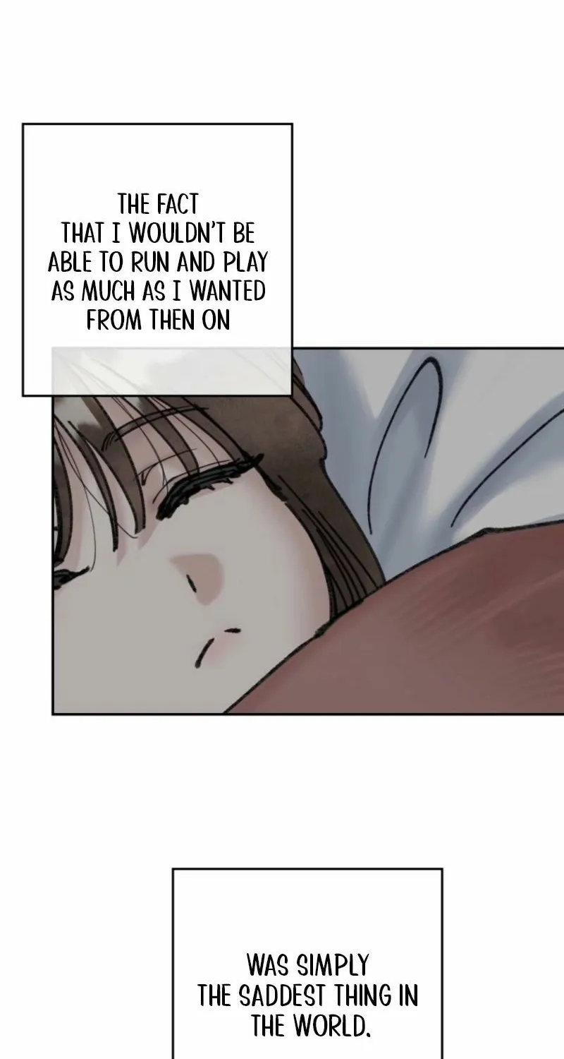 Read The Maid