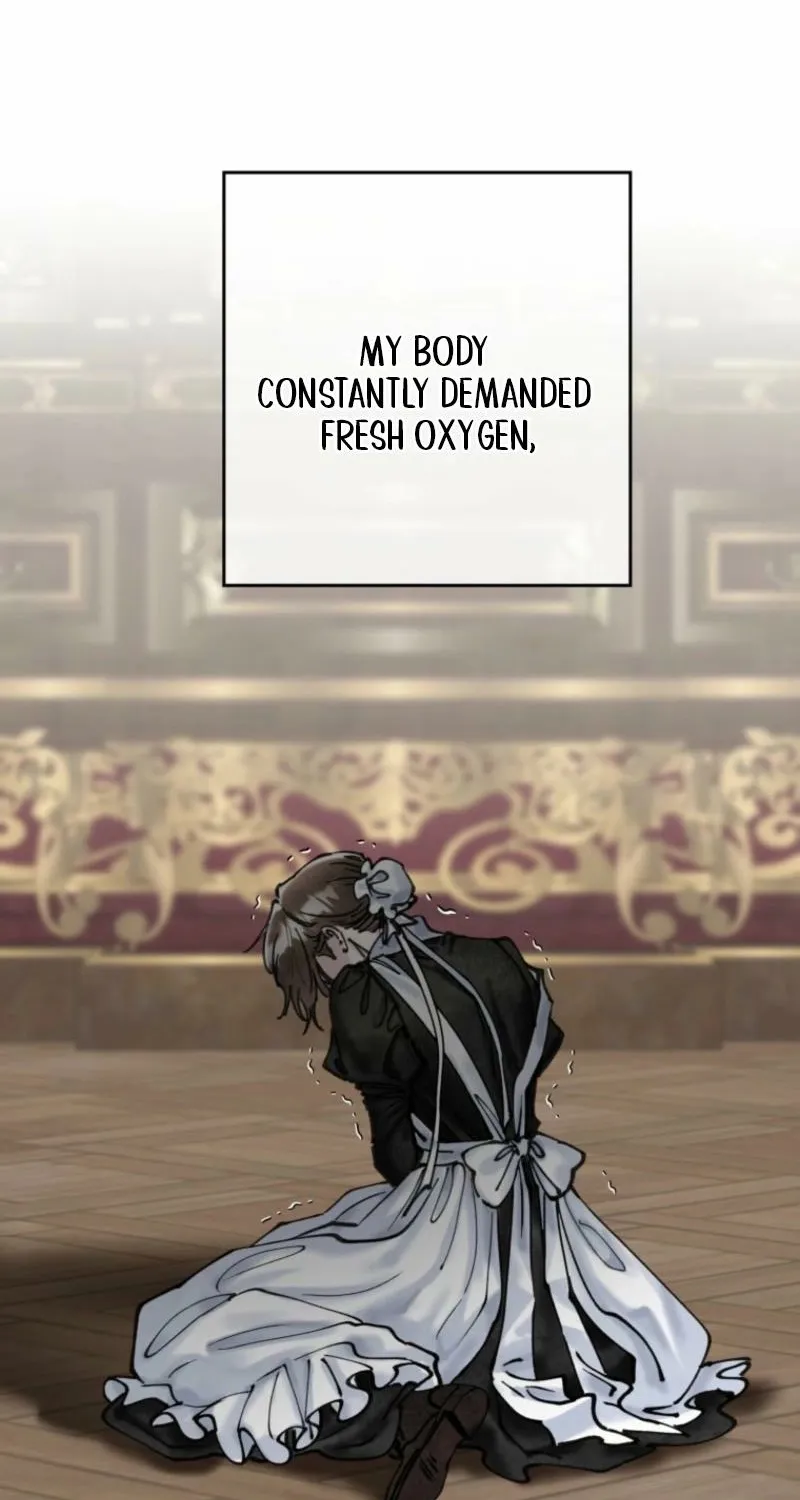 Read The Maid