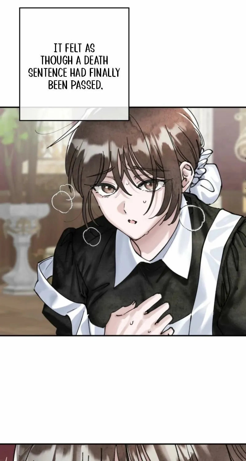 Read The Maid