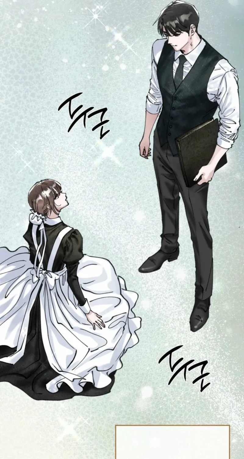 Read The Maid