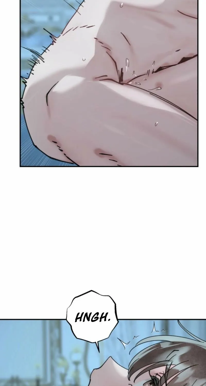 Read The Maid