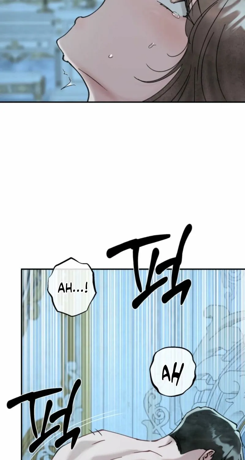 Read The Maid