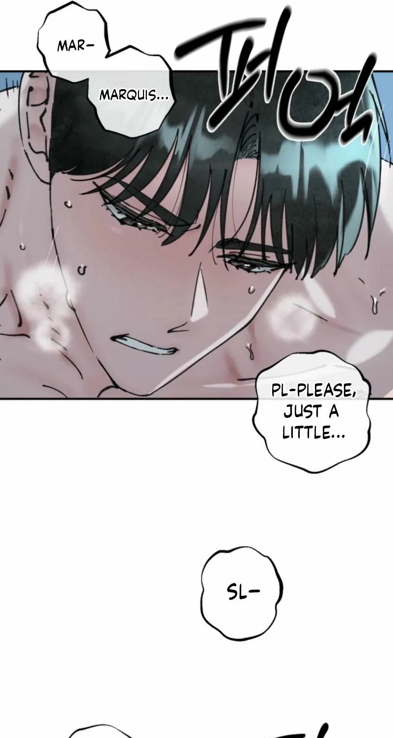 Read The Maid