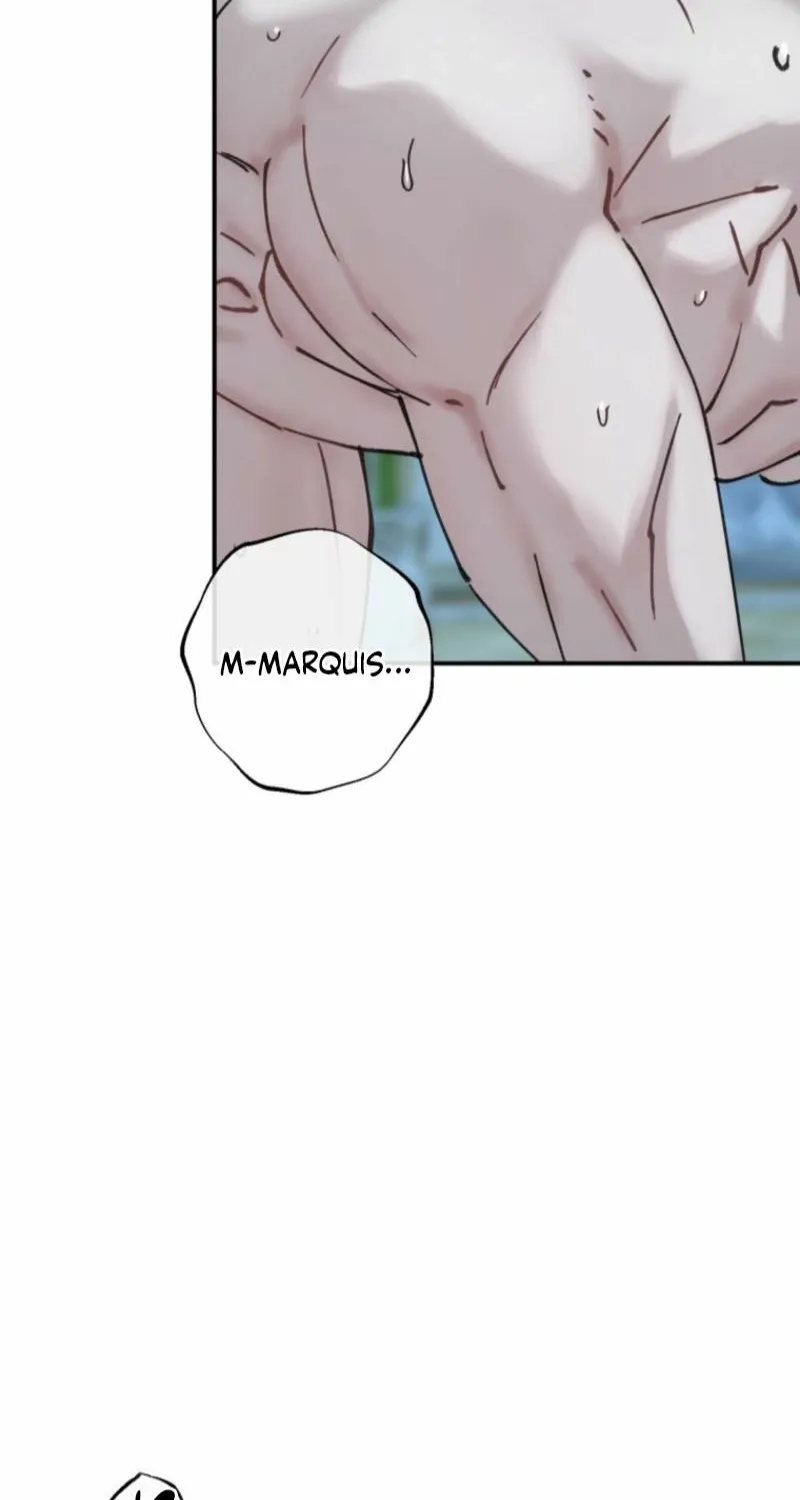 Read The Maid