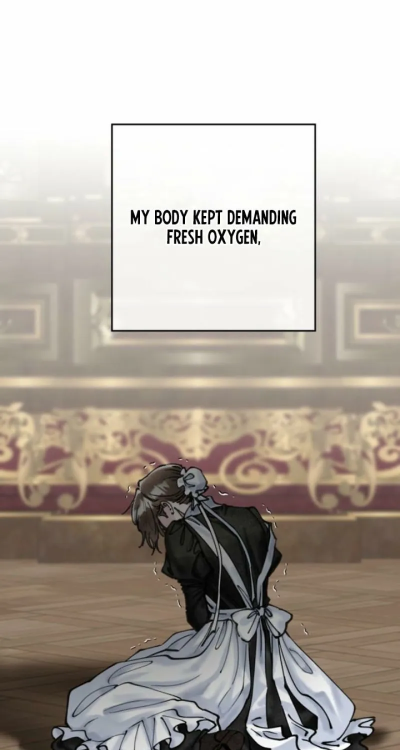 Read The Maid