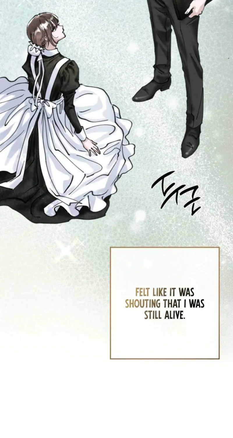 Read The Maid