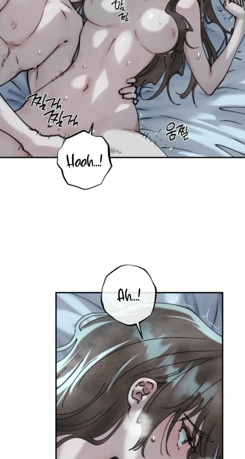 Read The Maid