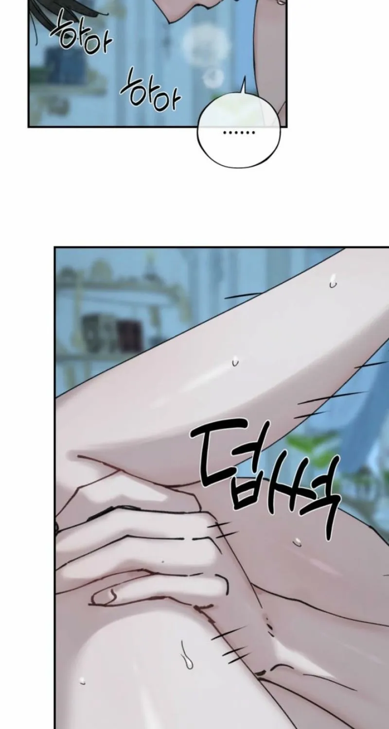 Read The Maid