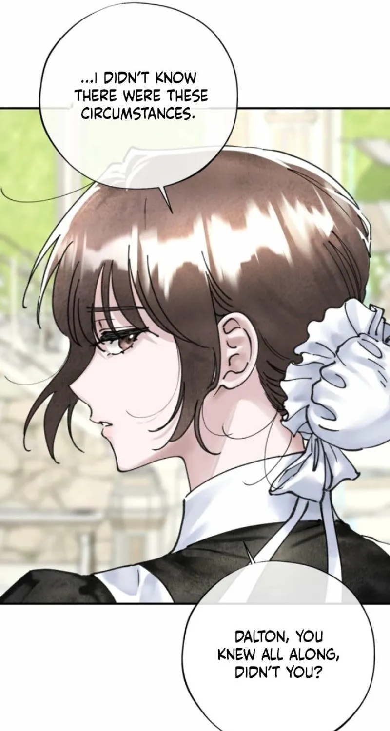 Read The Maid