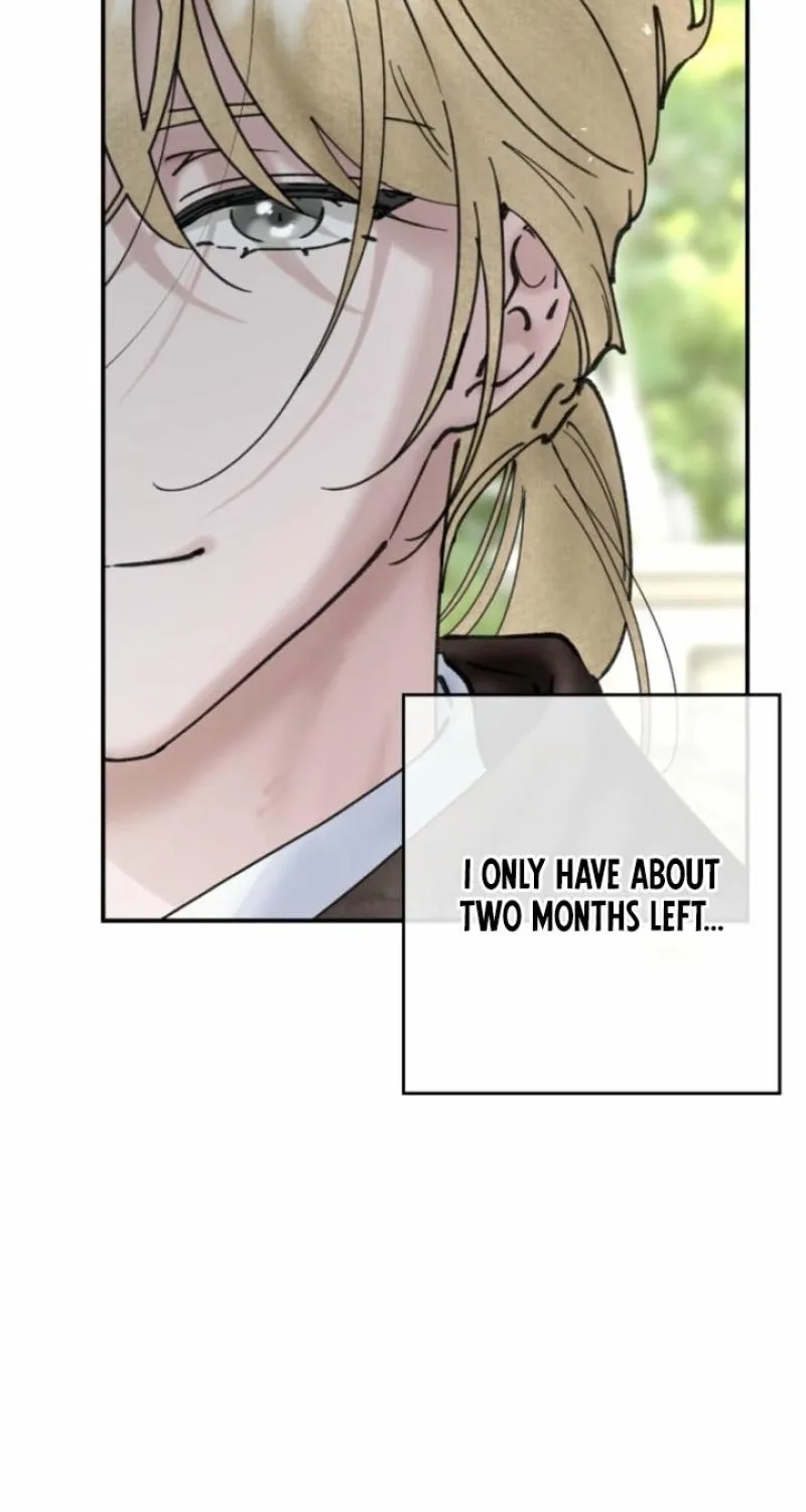 Read The Maid