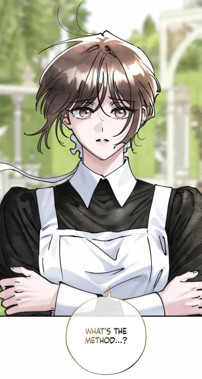 Read The Maid