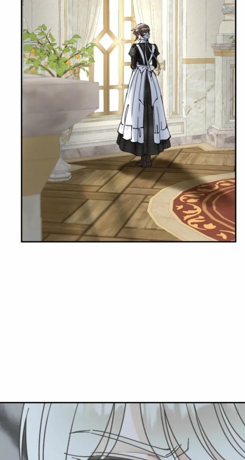 Read The Maid