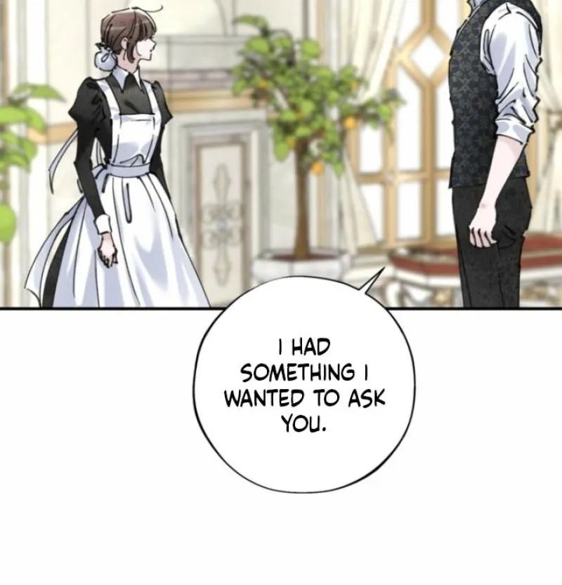Read The Maid