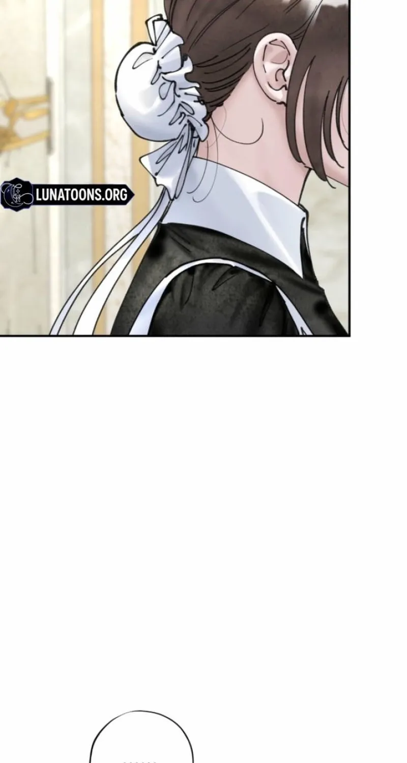 Read The Maid