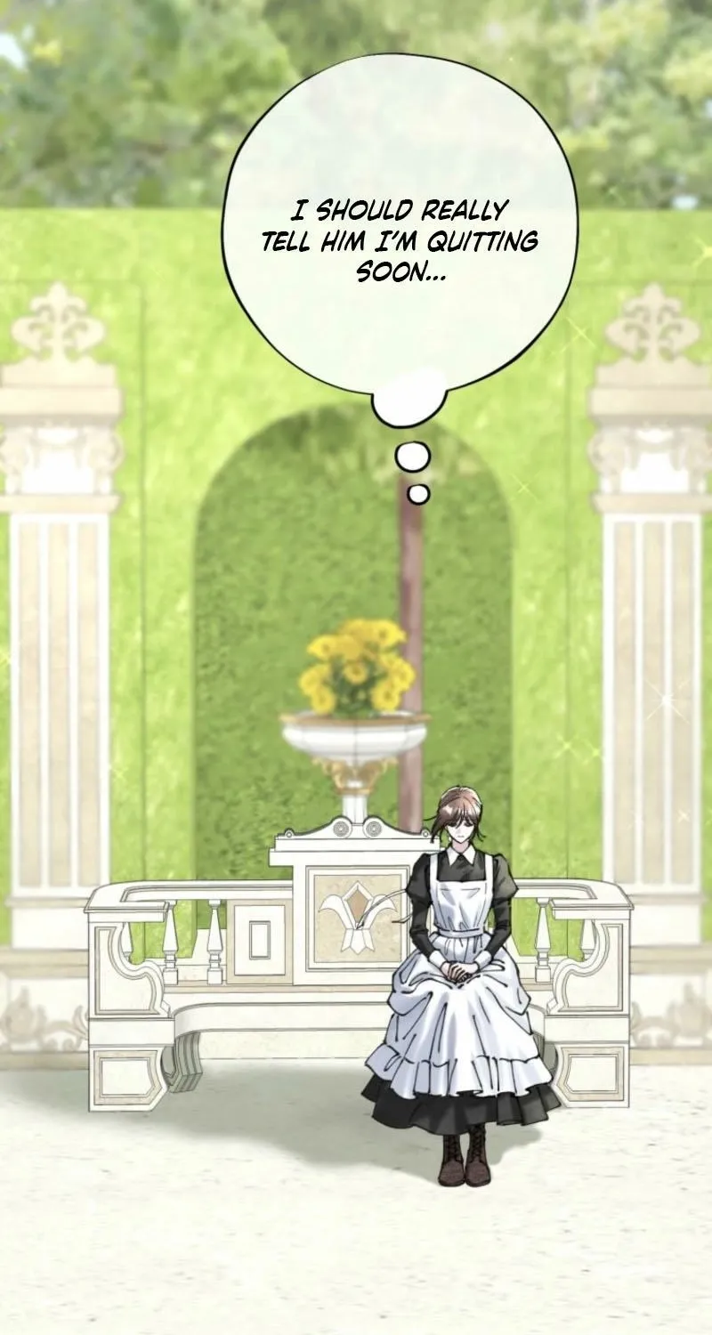 Read The Maid