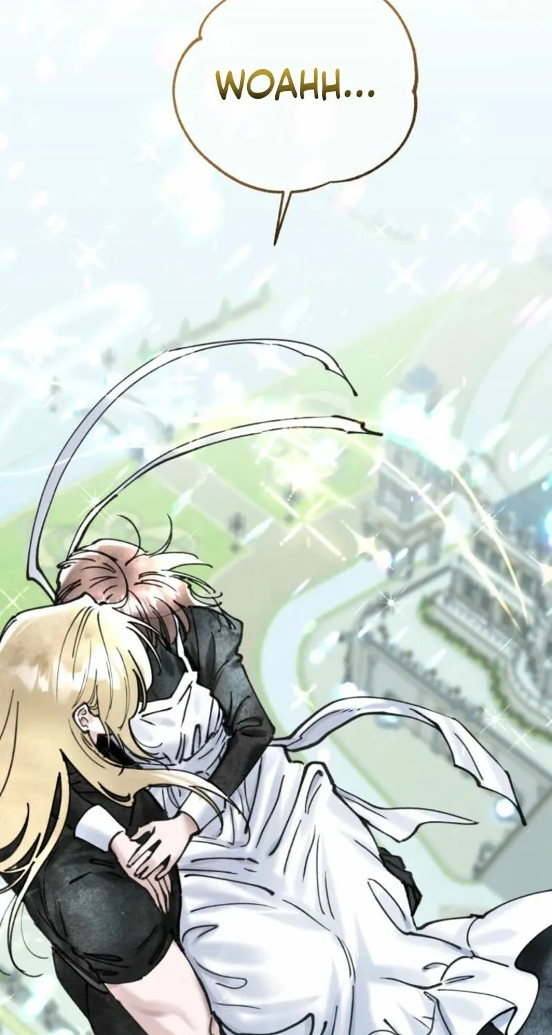 Read The Maid