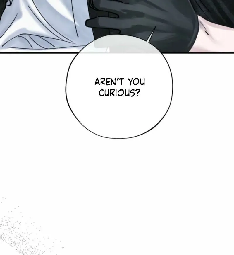 Read The Maid