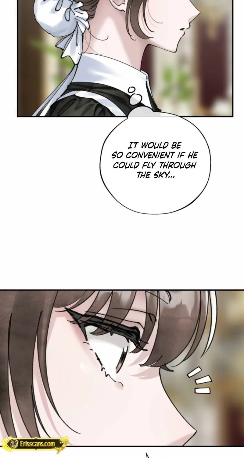Read The Maid