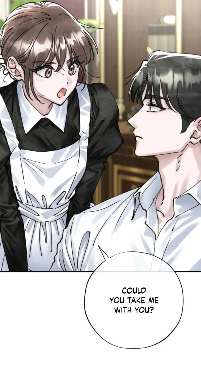 Read The Maid