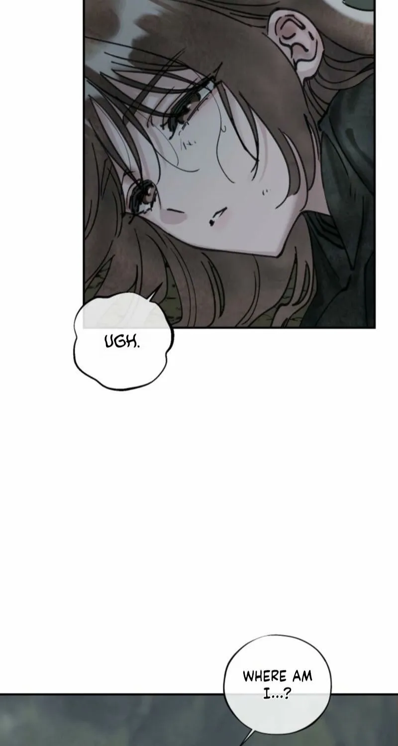 Read The Maid