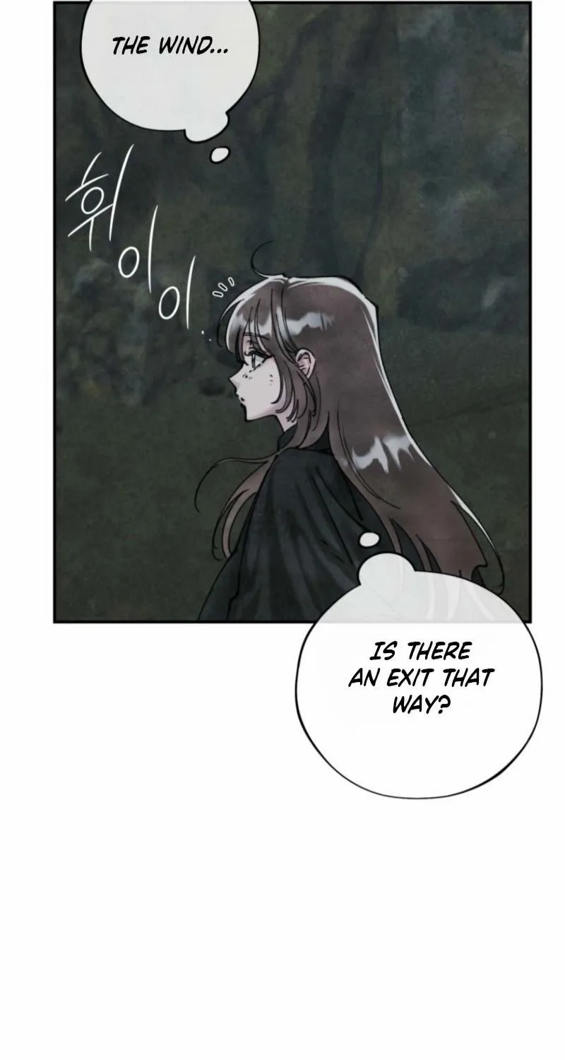 Read The Maid