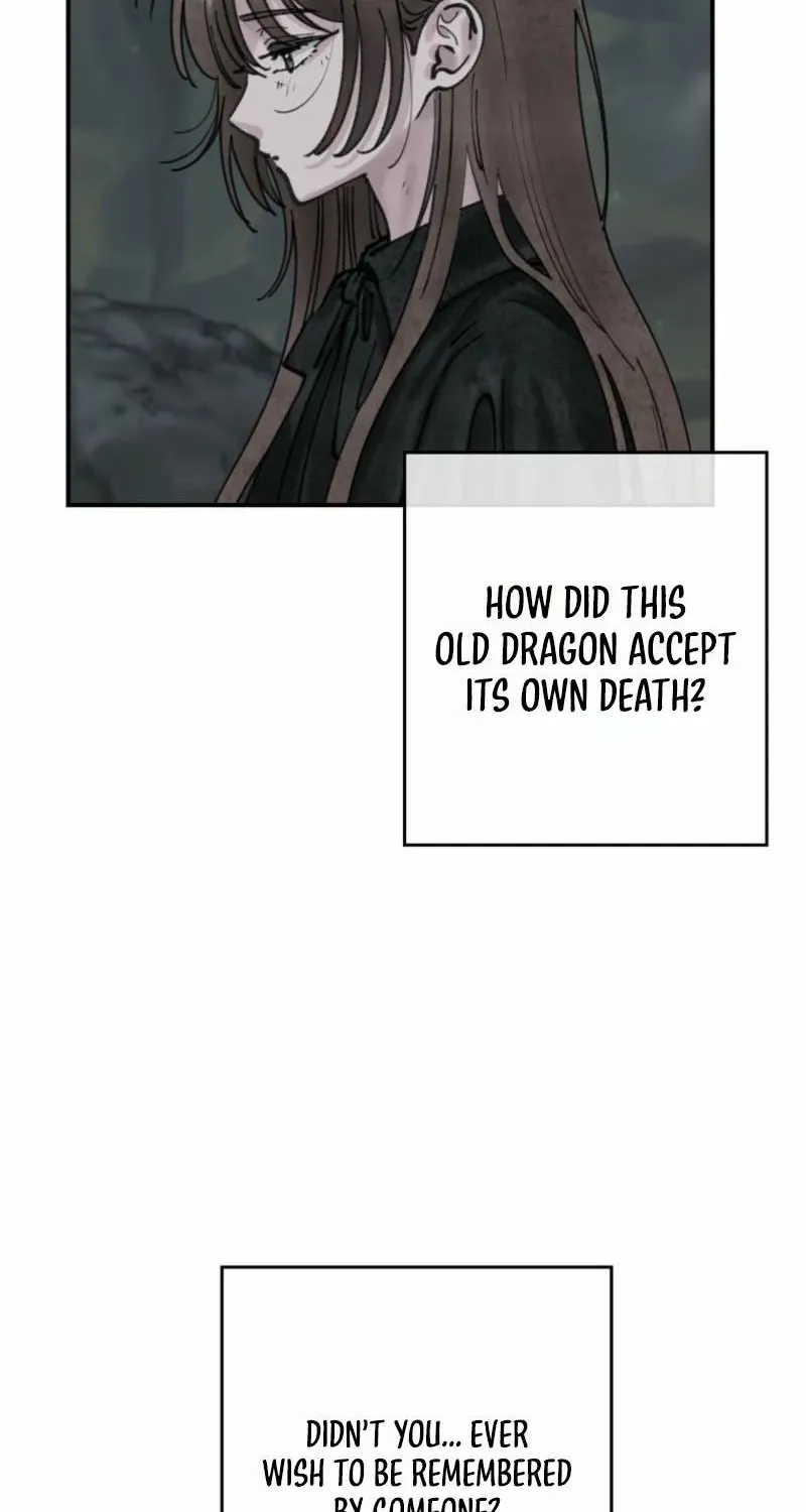 Read The Maid