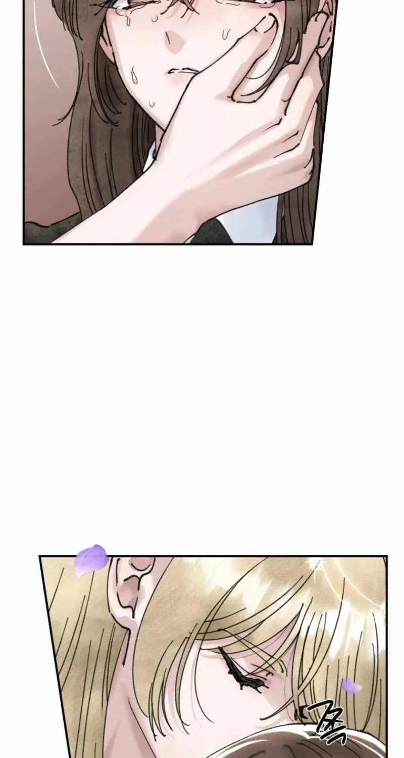 Read The Maid