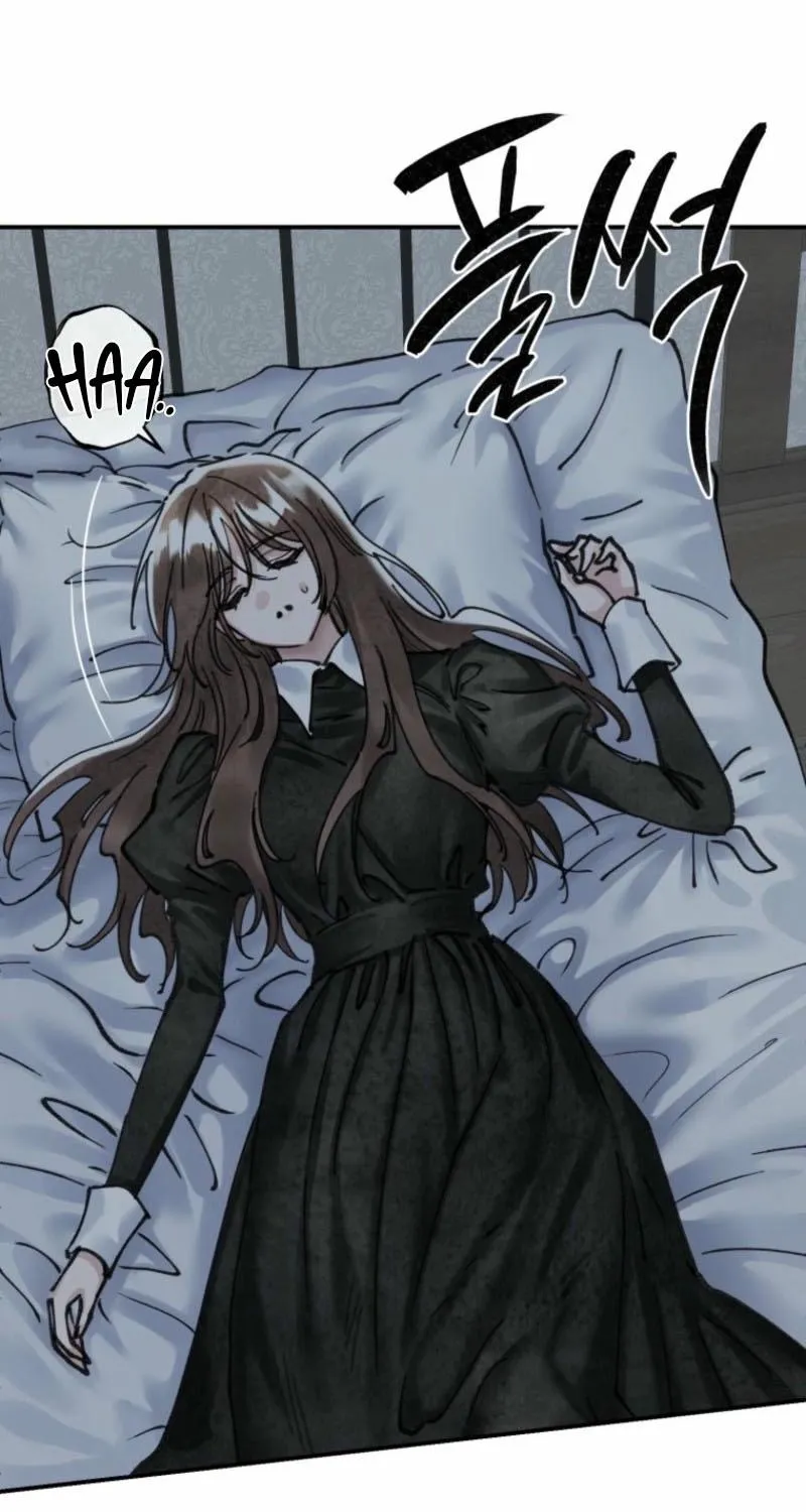 Read The Maid