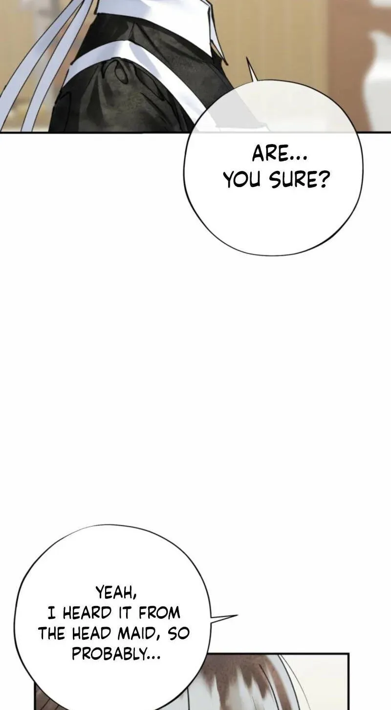 Read The Maid