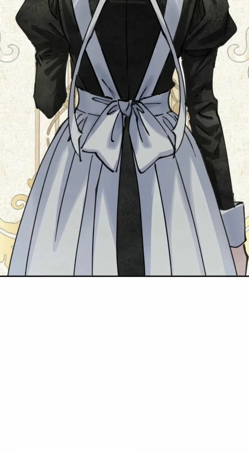 Read The Maid