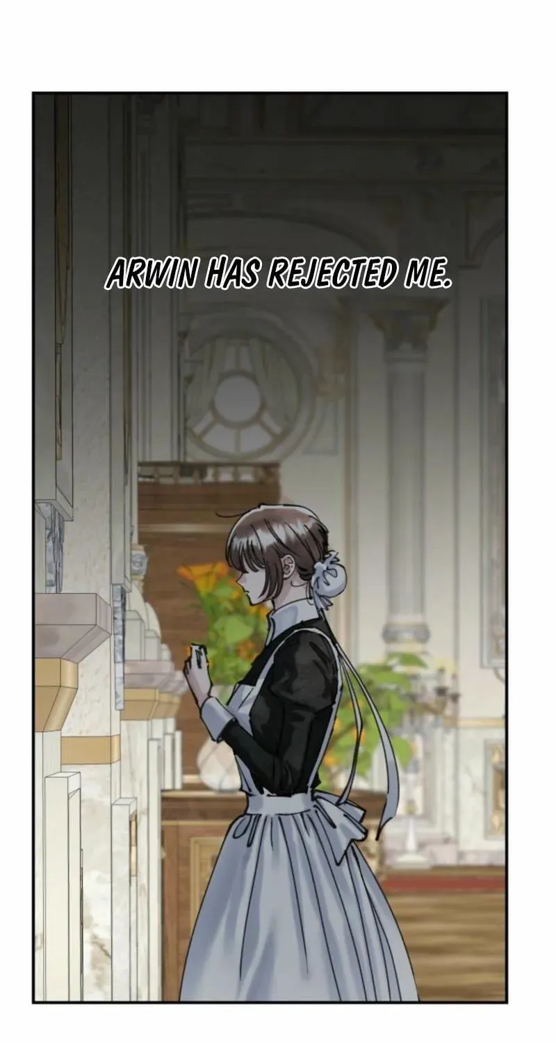Read The Maid