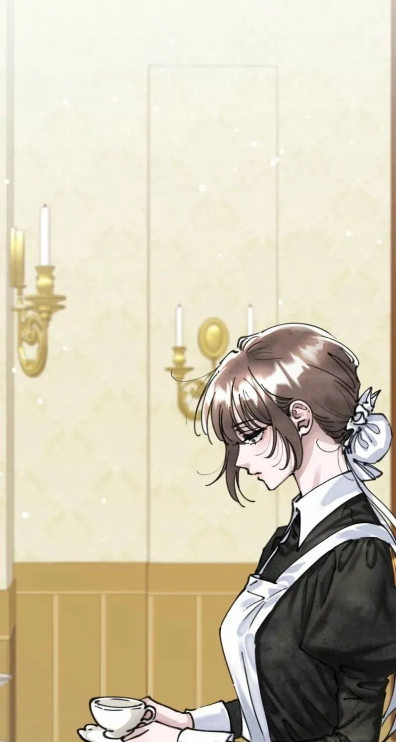 Read The Maid